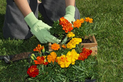 Close-up of hands pruning a shrub in a suburban Brent Cross garden